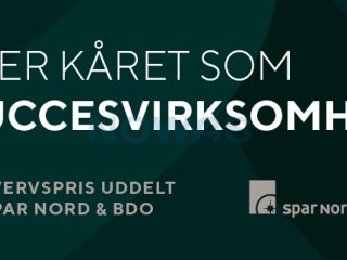 Succesvirksomhed 2024