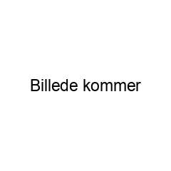 Værnemidler og sikkerhed