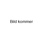 Maskindisk