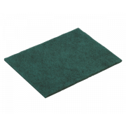 Vileda Hand scouring nylon Premium Green 150x230 mm