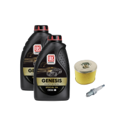 Honda GX390 Benzinmotor Servicepakke