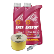 Honda GX390 bensinmotorservicepaket