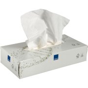 Care-Ness Excellent Facial Wipes 2-lagers, vit, 40 x 100 st.